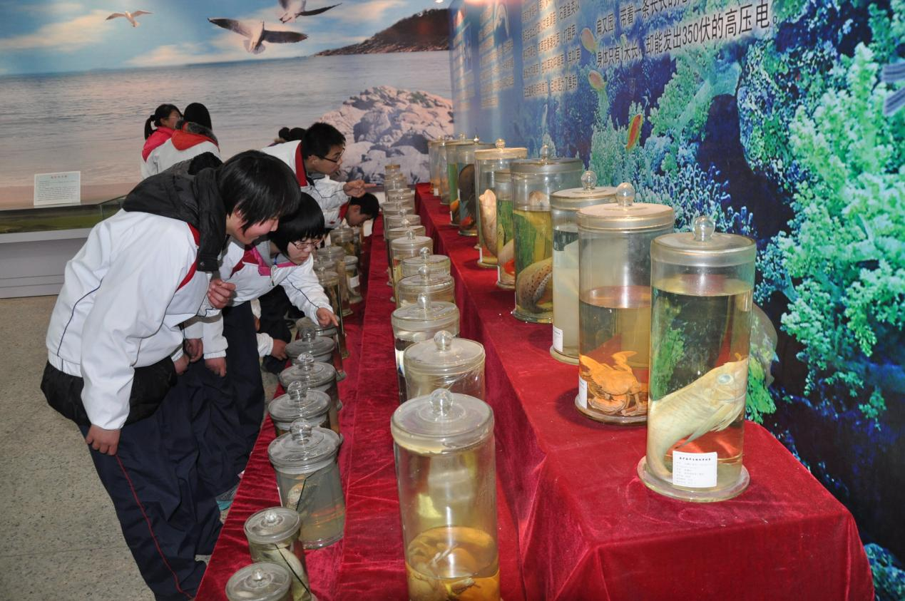 图片16.png