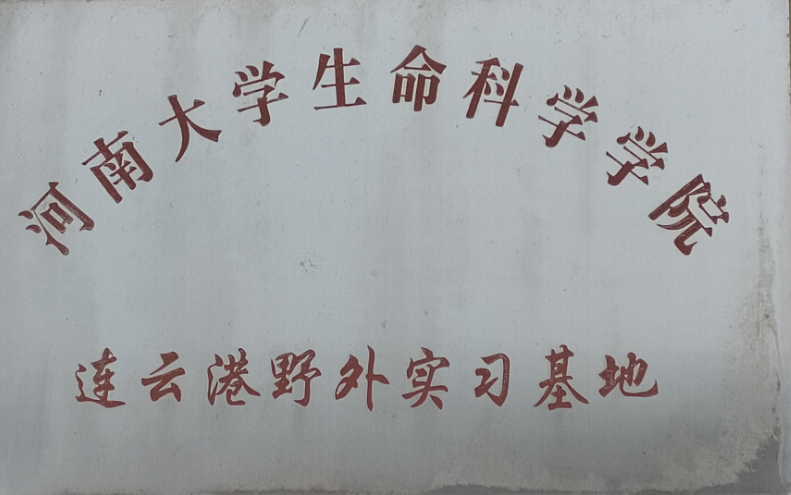 图片18.png