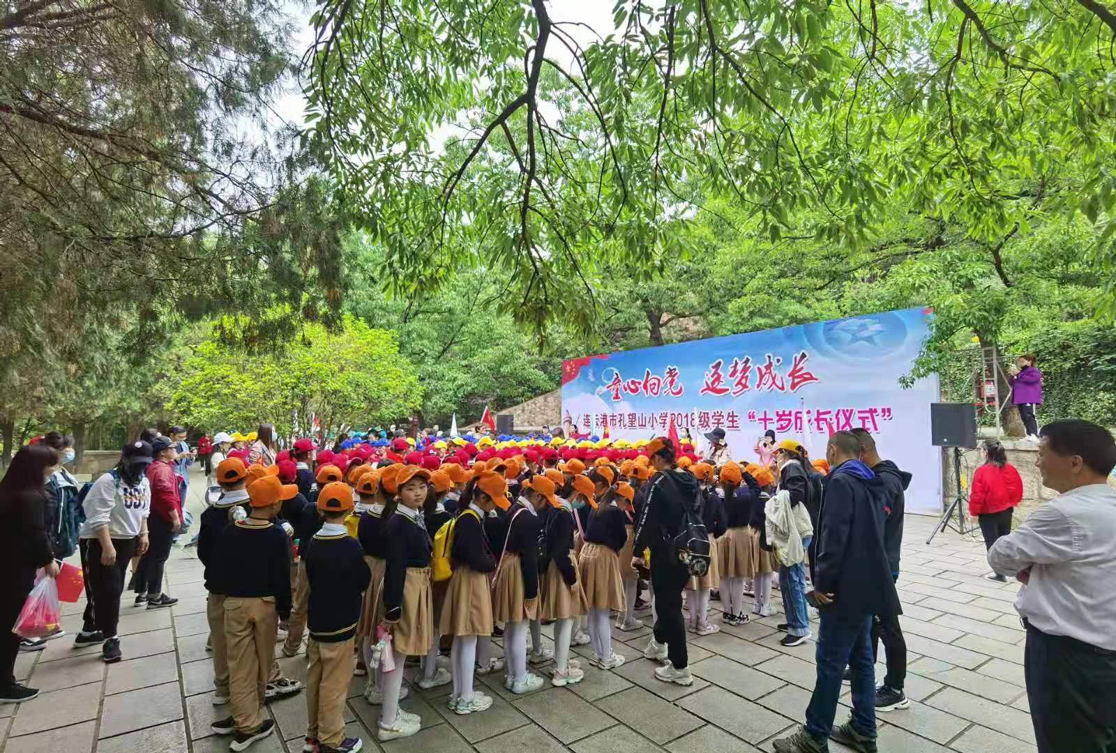 图片12.png